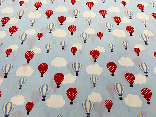 1010-02 Globos Celeste